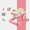 Premium Multi-Functional Walker