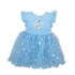 Blue Princess Dress for Toddler