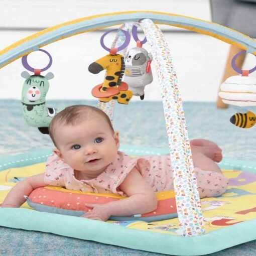 Skip Hop ABC & ME Activity Gym