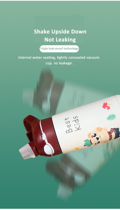 BPA Free Bottle