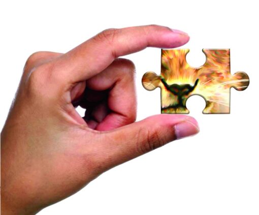 Frank In Africa Puzzle 250 Pcs 34502 - Image 3