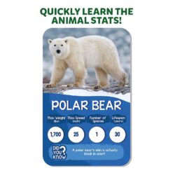 Quickly Learn Animal Stats