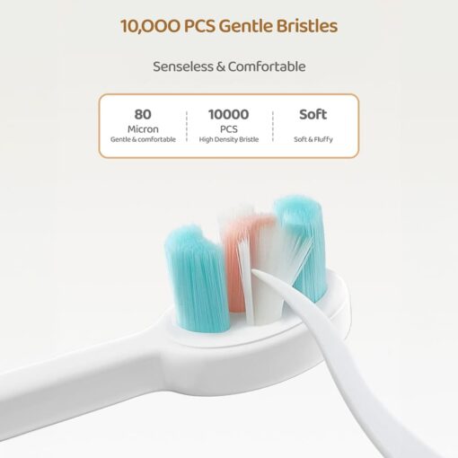 StarAndDaisy Teddy Bear Kids Tooth brush with Ultra Soft Bristle Tooth Brush for Toddlers with Silicone Grip - Image 6
