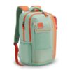 American Tourister Casual Backpacks For Students, 29.5 Ltr, 3 Full Compartments, Dobby Polyester Trendy Bags - Sest 3.0 Green