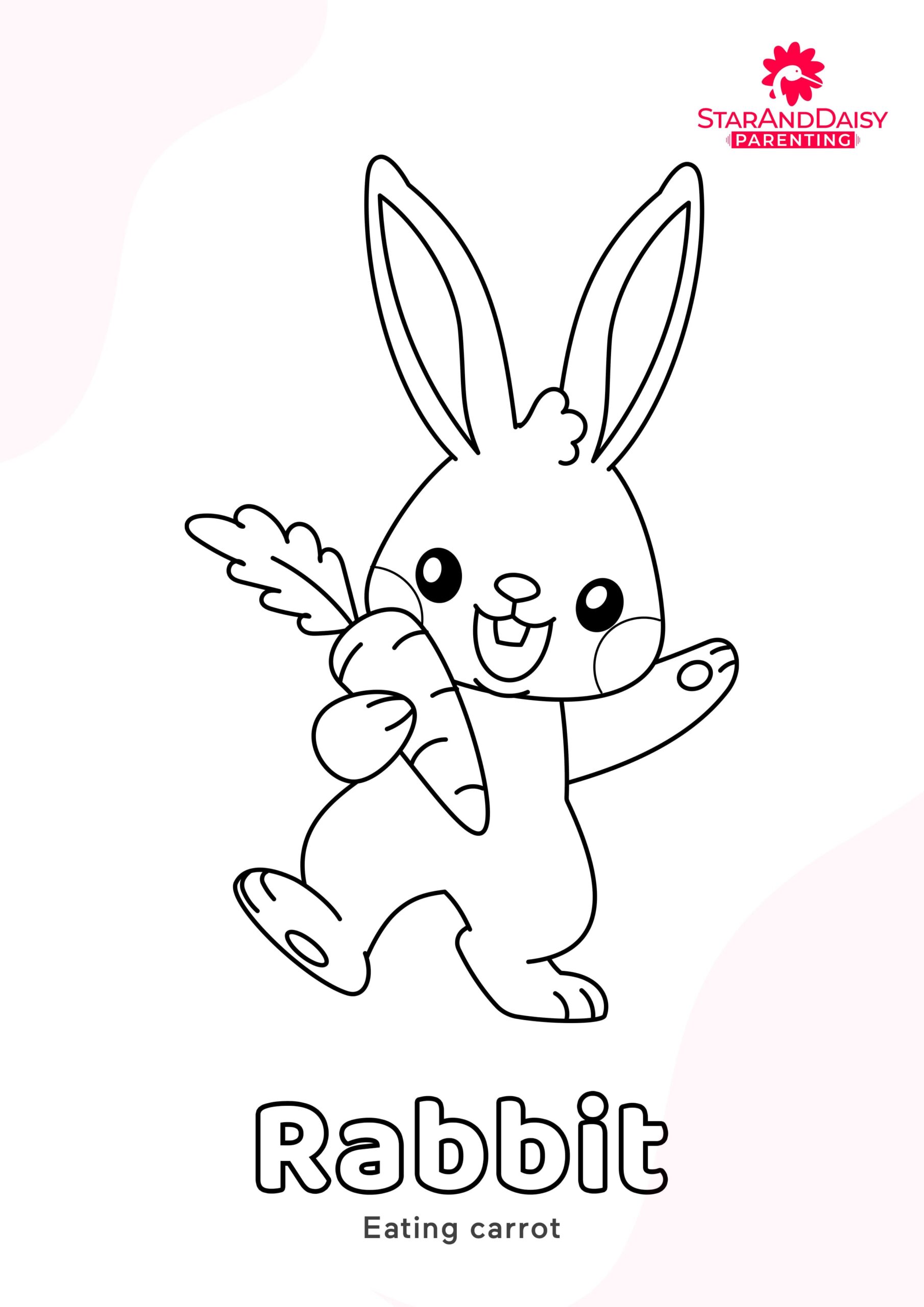 Rabbit-2